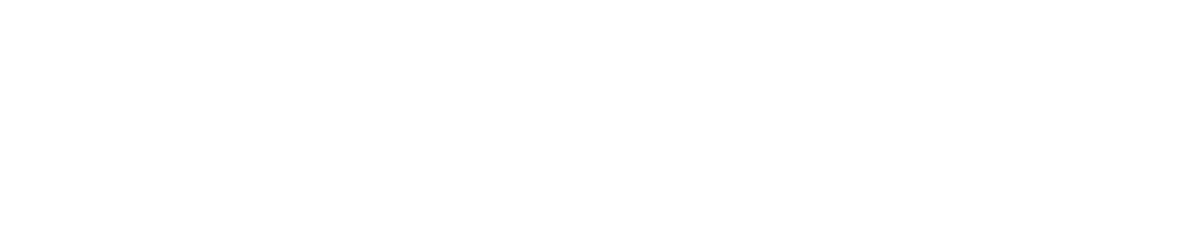 New_STIHL_Logo_White